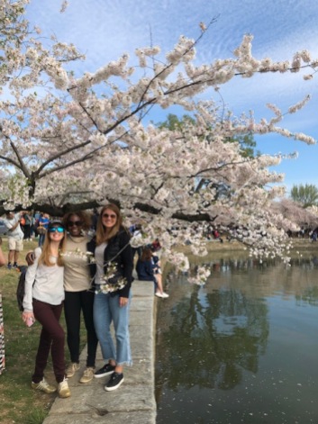 2019 credit union cherry blossom 10 mile race Washington DC 1